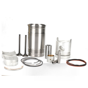 6D22 Engine Piston Kit