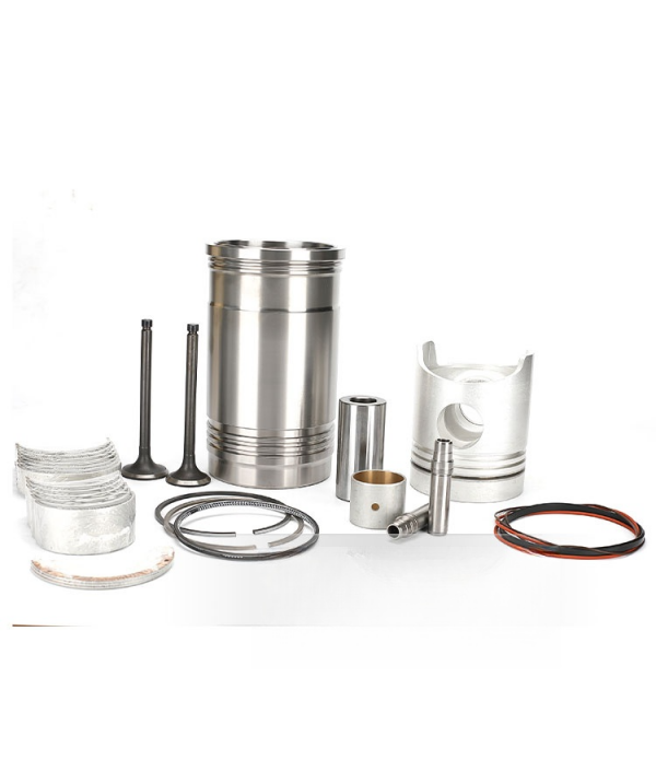 6D22 Engine Piston Kit